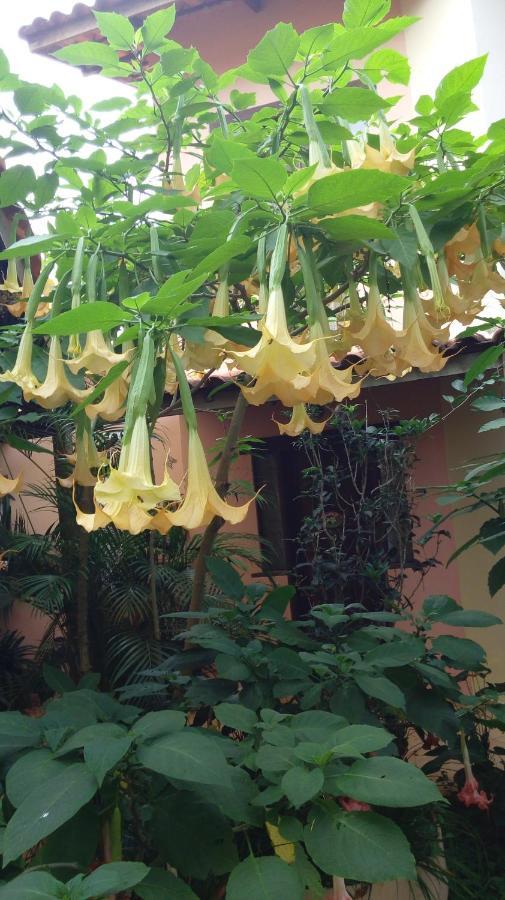 Eco Pousada Jardim Do Eden Alto Paraíso de Goiás Dış mekan fotoğraf