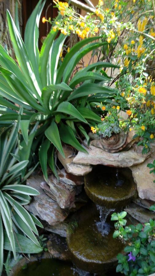 Eco Pousada Jardim Do Eden Alto Paraíso de Goiás Dış mekan fotoğraf
