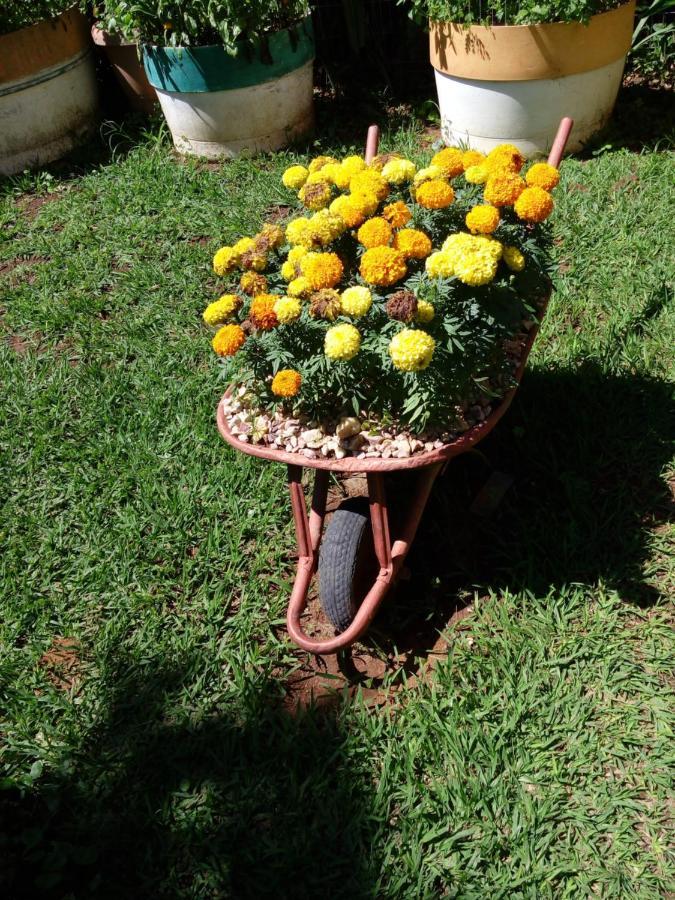 Eco Pousada Jardim Do Eden Alto Paraíso de Goiás Dış mekan fotoğraf