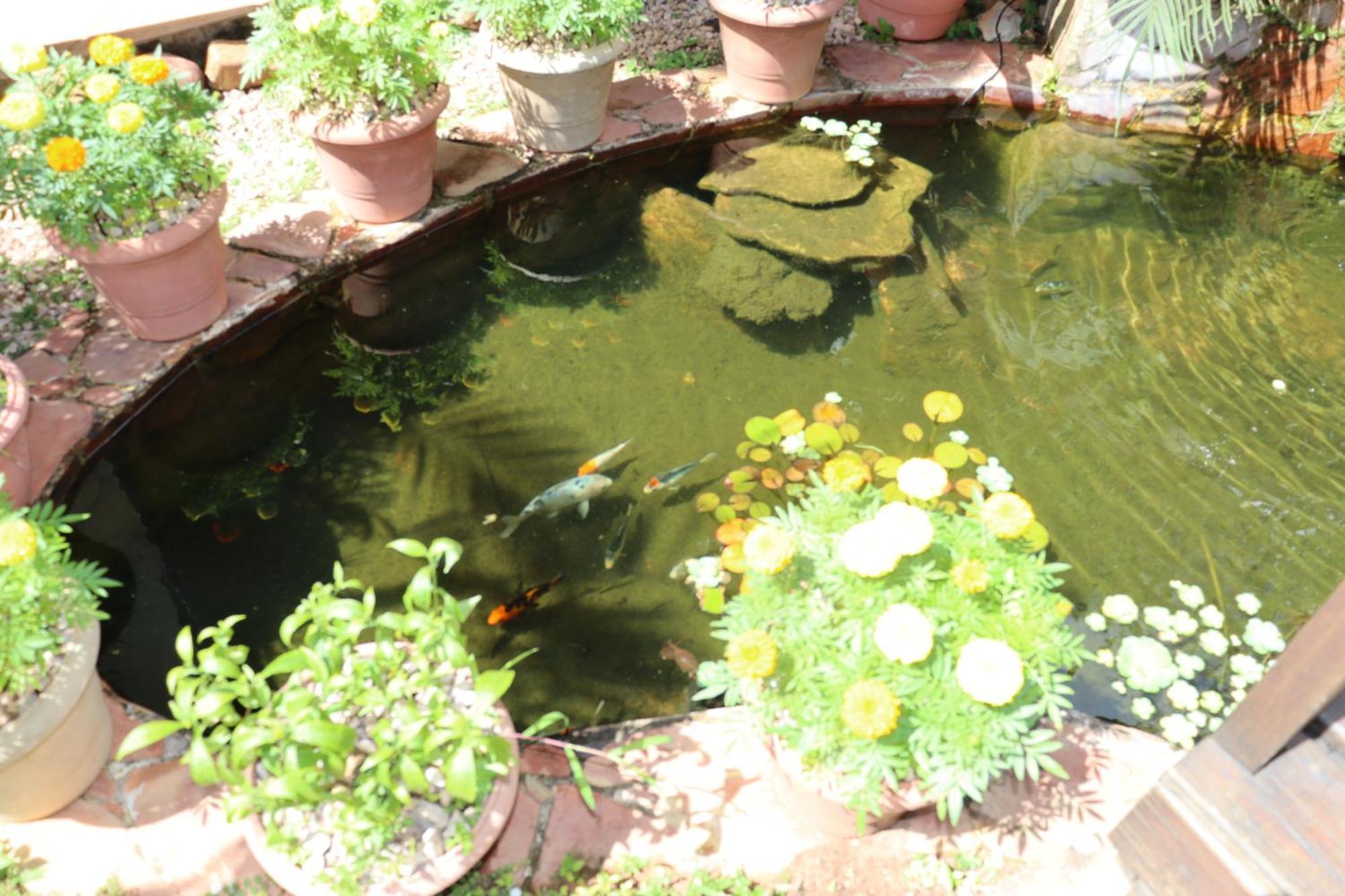 Eco Pousada Jardim Do Eden Alto Paraíso de Goiás Dış mekan fotoğraf