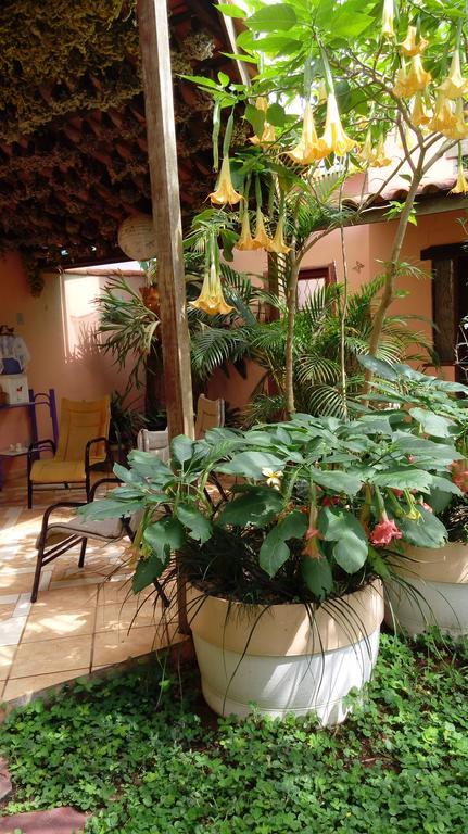Eco Pousada Jardim Do Eden Alto Paraíso de Goiás Dış mekan fotoğraf