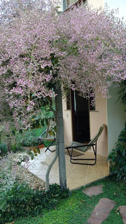 Eco Pousada Jardim Do Eden Alto Paraíso de Goiás Dış mekan fotoğraf