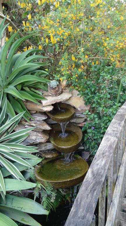Eco Pousada Jardim Do Eden Alto Paraíso de Goiás Dış mekan fotoğraf